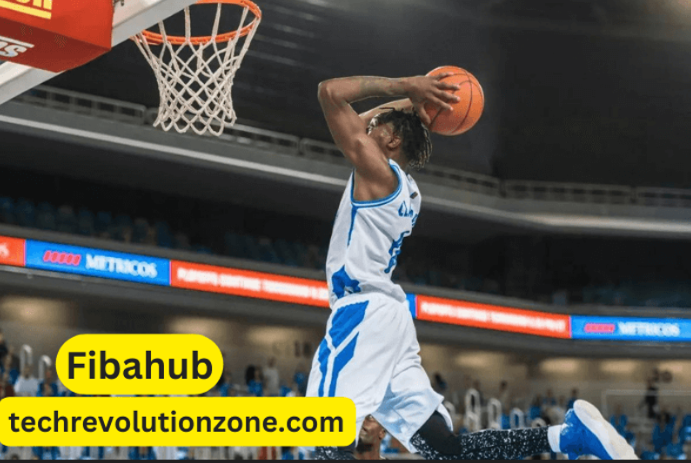 Fibahub